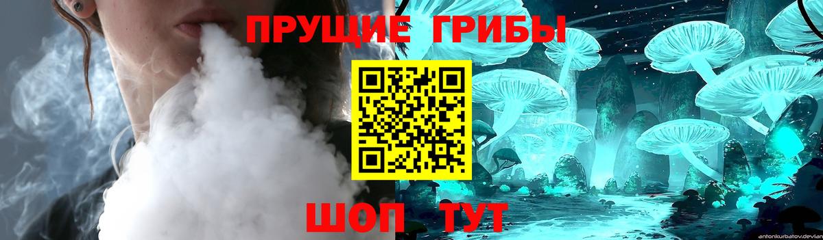 Галлюциногенные грибы Magic Shrooms Кувандык
